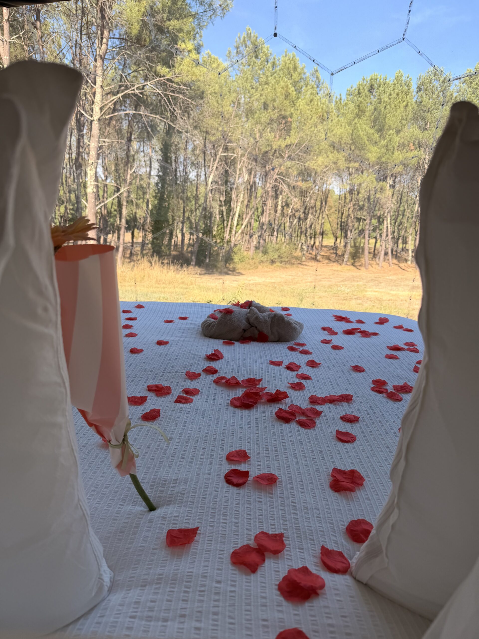 Ambiance romantique et vue sur les pins depuis La Bulle