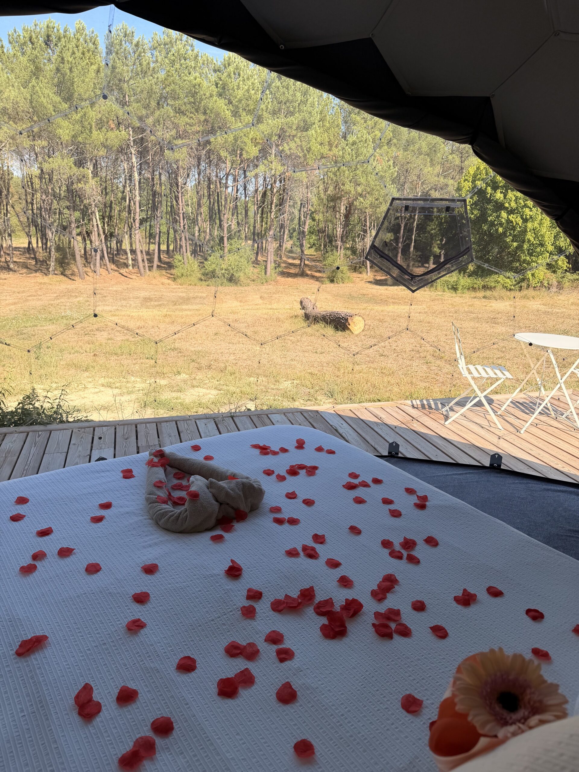 La Bulle romantique ouverte sur la forêt aux Cabanes de la Saye
