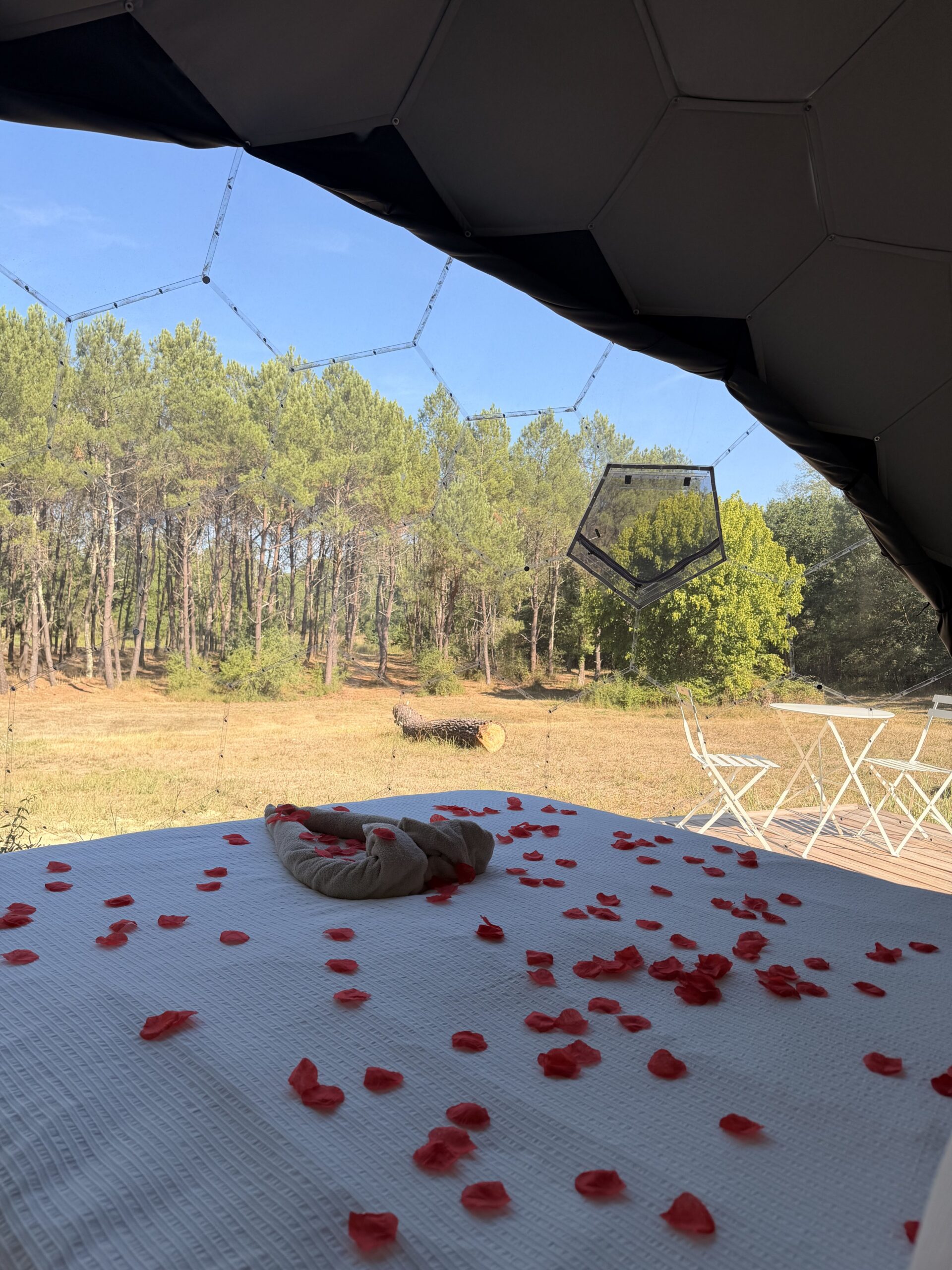 La Bulle romantique ouverte sur la forêt et sa terrasse